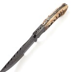 Damascus Hunting Knife // Ram Horn Handle