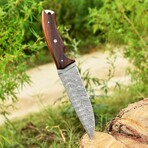 Damascus Hunting Knife // Wood Handle