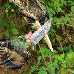 Damascus Hunting Knife // Olive Wood Handle