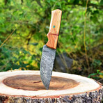Damascus Hunting Knife // Olive Wood Handle