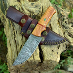 Damascus Hunting Knife // Olive Wood Handle