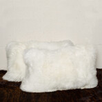 2-Pack New Zealand Sheepskin Pillow 12" X 20" (Black)