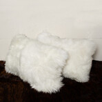 2-Pack New Zealand Sheepskin Pillow 12" X 20" (Black)