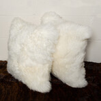 2-Pack New Zealand Sheepskin Pillow 18" X 18" (Black)