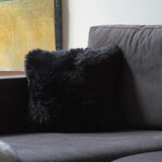 2-Pack New Zealand Sheepskin Pillow 18" X 18" (Black)