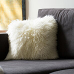 2-Pack New Zealand Sheepskin Pillow 18" X 18" (Black)