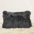 2-Pack New Zealand Sheepskin Pillow 12" X 20" (Black)