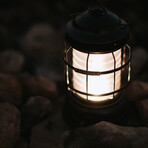 Forest Lantern // Antique Bronze