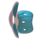 Posture Pro Lumbar Support