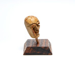 Large Tibetan Bone Skull Bead // 17th-18th Century AD