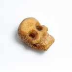 Small Tibetan Bone Skull Bead // 17th-18th Century AD