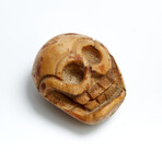 Large Tibetan Bone Skull Bead // 17th-18th Century AD