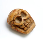 Large Tibetan Bone Skull Bead // 17th-18th Century AD