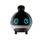 EBO X Family Robot Companion