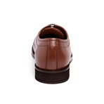 Modena Blucher Oxford // Cognac (US: 9.5)