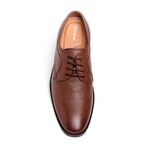 Modena Blucher Oxford // Cognac (US: 7)