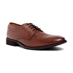 Modena Blucher Oxford // Cognac (US: 10.5)