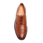 Milano Cap-Toe Oxford // Cognac (US: 10)