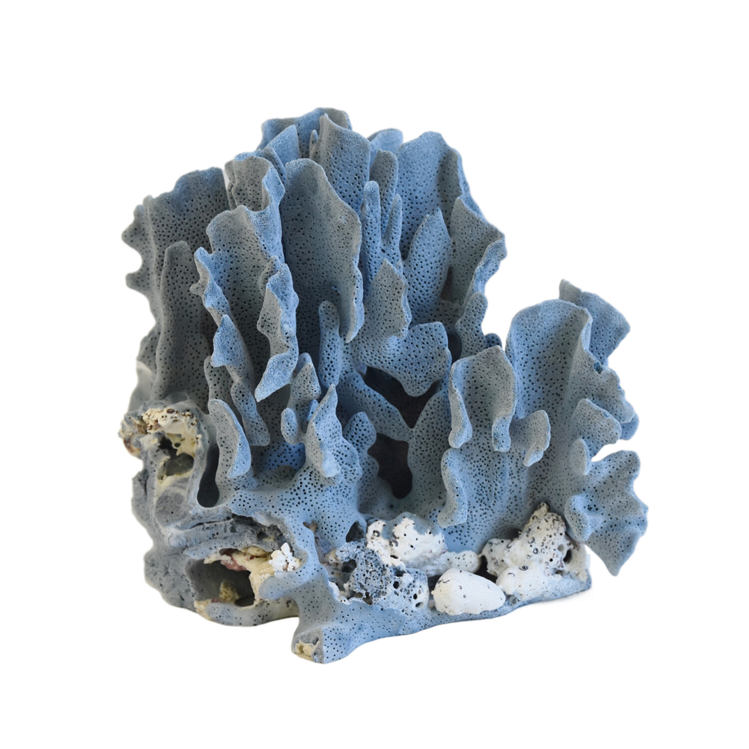 Coastal Nautical Blue Coral Specimen - Prized Pig by Mike Seratt