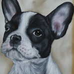 Boston Terrier Dog Puppy Oil Painting