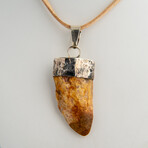 Genuine Africian T-Rex Tooth Pendant on Leather Cord