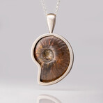 Genuine Opalized Ammonite Pendant with 18" Sterling Necklace