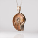 Genuine Opalized Ammonite Pendant with 18" Sterling Necklace