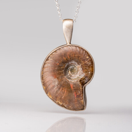 Genuine Opalized Ammonite Pendant with 18" Sterling Necklace