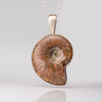 Genuine Opalized Ammonite Pendant with 18" Sterling Necklace