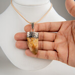Genuine Africian T-Rex Tooth Pendant on Leather Cord