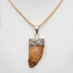 Genuine Africian T-Rex Tooth Pendant on Leather Cord