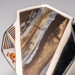 Genuine Mammoth Molar Ring and Yellow Sapphire // Size 10