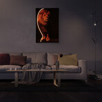 LED Lion Art with LED 3