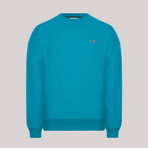 Round Neck Sweatshirt // Blue (L)