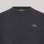 Round Neck Sweatshirt // Anthracite Melange (M)