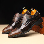 Embossed Top Oxford // Scales Embossed // Brown (Euro: 40)