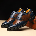 Two-Tone Wingtip Brogues // Blue + Brown (Euro: 40)