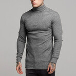Long Sleeve Trutle Neck Sweater // Gray (XS)
