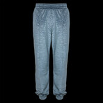 Tiger Velvet Sweatshirt & Pants Set // Sky Blue (XL)