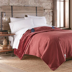 Ultra Velvet Microflannel Electric Blankets // Merlot (Full // 72x90)