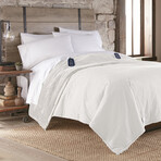 Ultra Velvet Microflannel Electric Blankets // Vanilla (Full // 72x90)
