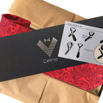 Silk Neck Tie // Red Paisley