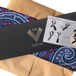 Silk Neck Tie // Navy Blue + Red Paisley