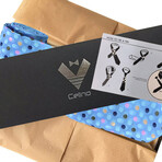 Silk Neck Tie // Blue Polka Dots