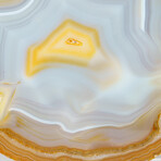 Genuine Quartz "Smiley Face" Slice with Acrylic Display Stand // 270 g