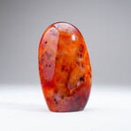 Genuine Polished Carnelian Agate Freeform from Madagascar // 2.3 lbs