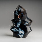 Genuine Polished Blue Chalcedony Orca Stone Flame Freeform