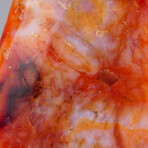 Genuine Polished Carnelian Agate Freeform from Madagascar // 2.3 lbs