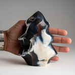 Genuine Polished Blue Chalcedony Orca Stone Flame Freeform