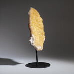 Genuine Citrine Quartz Crystal Cluster on Metal Stand // 6 lbs